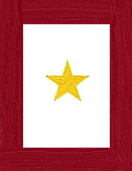 Adams County Gold Star Honor Roll Logo